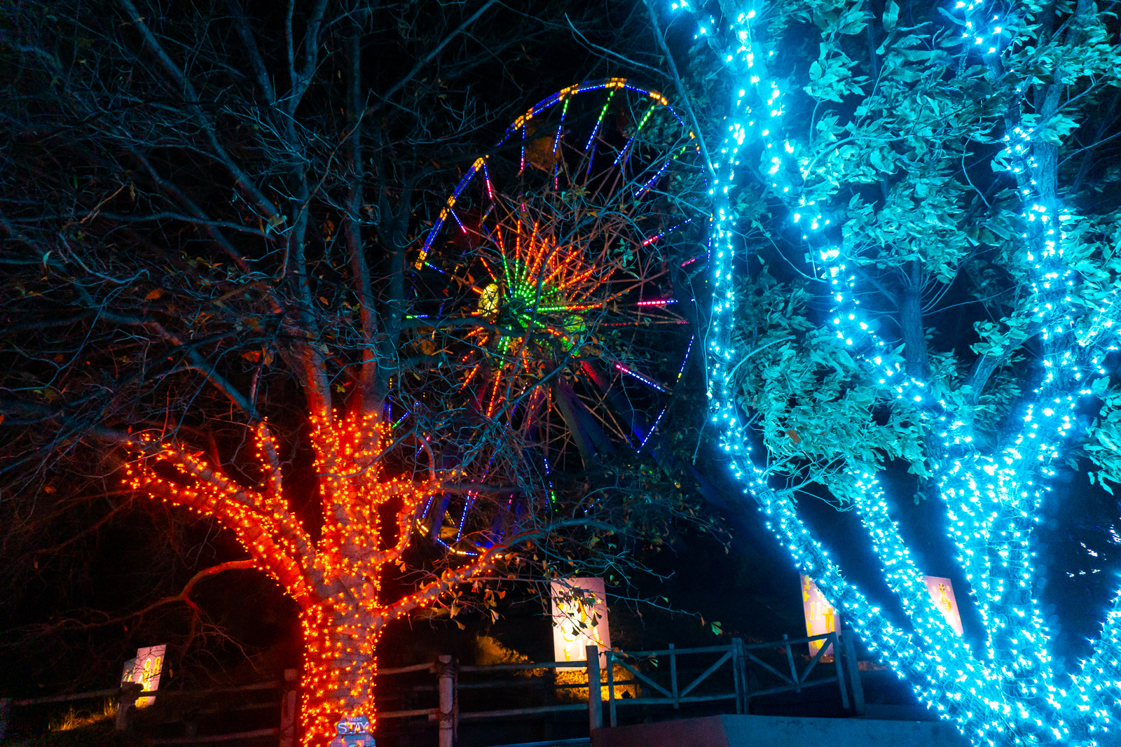 Lights in Frontier City